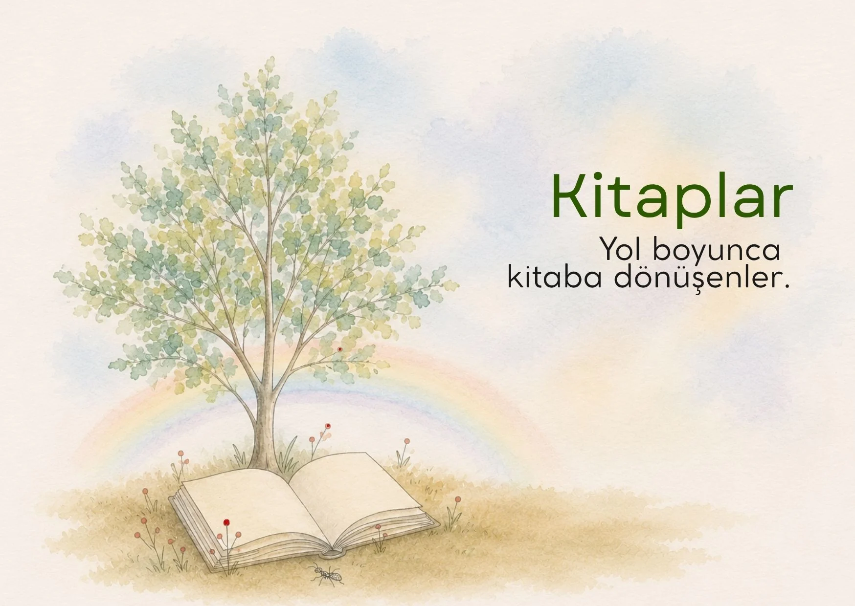Kitaplar — Yol boyunca birikip kitaba dönüşenler…